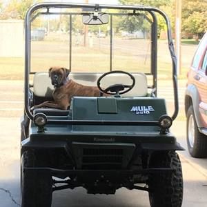 Meet your Posher, Gordon